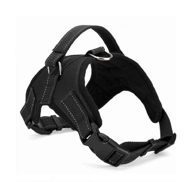 Nylon Padded Harness for Dogs